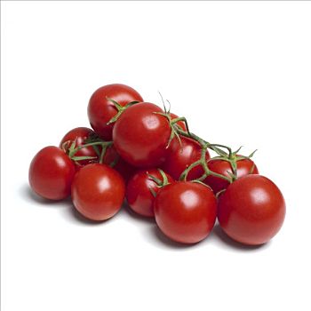 西红柿,茎杆,茎,许多,红色,数字,蔬菜,成熟,餐饮,食物,烹调,健康,白色,背景,圆锥花序
