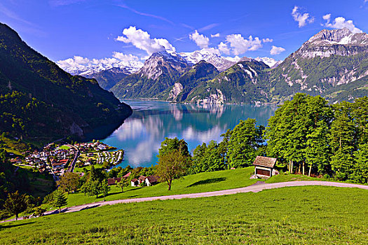 湖,局部,琉森湖,瑞士,小路,阿尔卑斯山,中心,山,欧洲