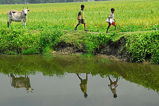朋友,头部,学校,家庭,父亲,农场,生活方式,达卡,孟加拉,五月,2007年