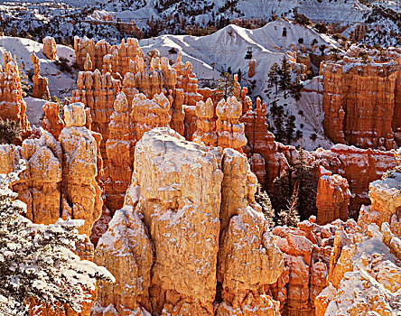 美国,犹他,布莱斯峡谷国家公园,初雪,怪岩柱,沙岩构造,峡谷,大幅,尺寸