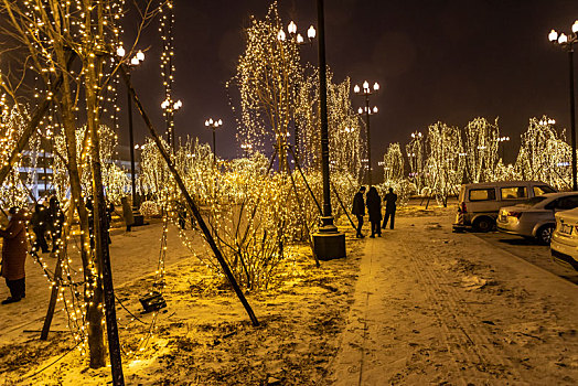 雪中的长春净月潭国家森林公园夜景