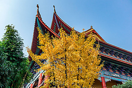 湖南长沙古开福寺－佛殿,钟鼓楼,古银杏,佛塔