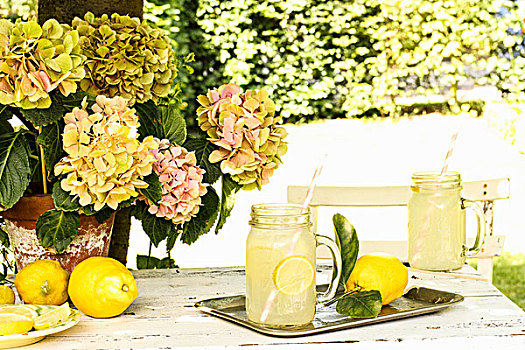 柠檬水,花园桌