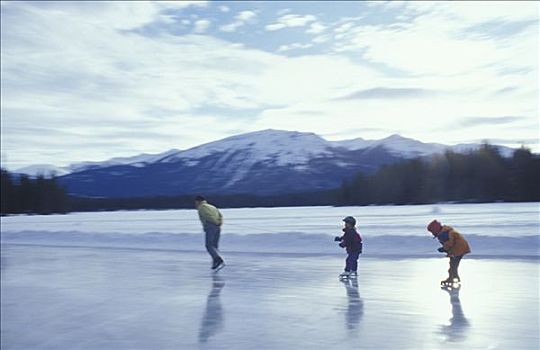 母兽,杰士伯国家公园,冬天,加拿大,艾伯塔省