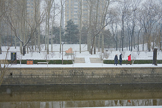 大雪,雪,北京