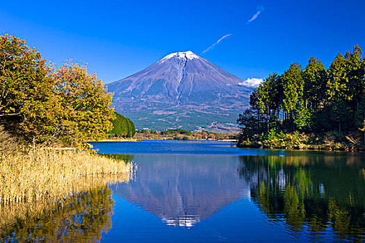 山,富士山,湖,秋叶