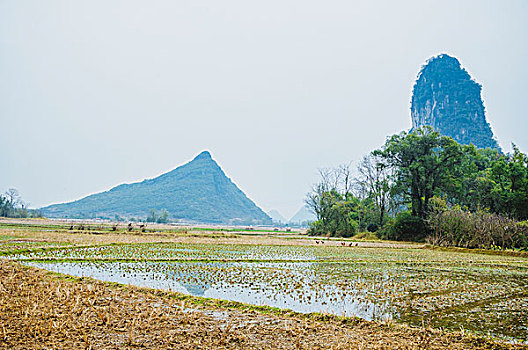 田园秋色