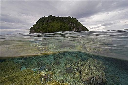 印度尼西亚,班达海,分开,珊瑚礁,仰视,未知,小岛,中间,海洋,高处