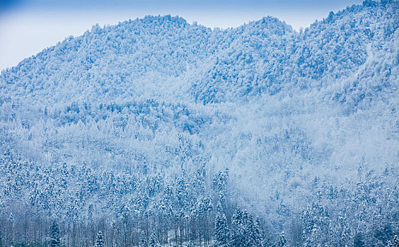 西岭雪山大雪的美丽风景