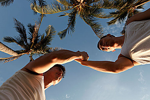 两个男人,握手,蓝天,棕榈树,背景