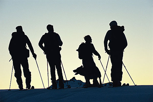剪影,滑雪者,狗,站立,上面,山