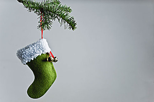 圣诞袜,装饰,悬挂,枝头
