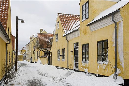 积雪,乡村,丹麦,欧洲