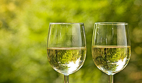 葡萄酒,玻璃杯,白葡萄酒,野餐