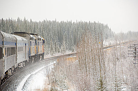 加拿大,艾伯塔省,轨道,雪,列车,埃德蒙顿