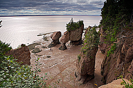 霍伯威尔岩,湾,芬地湾,公路,沿岸,新布兰斯维克,加拿大