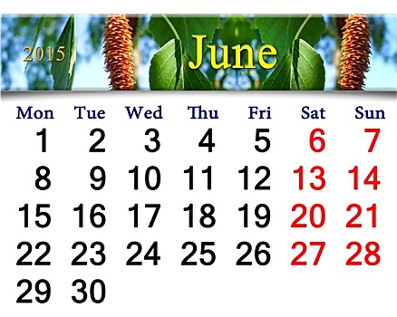 日程,六月,图像,叶子