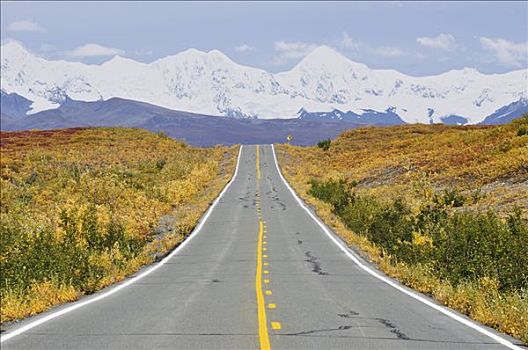 德纳里峰,公路,阿拉斯加山脉,阿拉斯加,美国