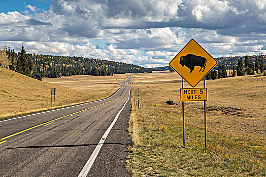 路标,野牛,警告标识,道路,大峡谷,北缘,亚利桑那,美国,北美