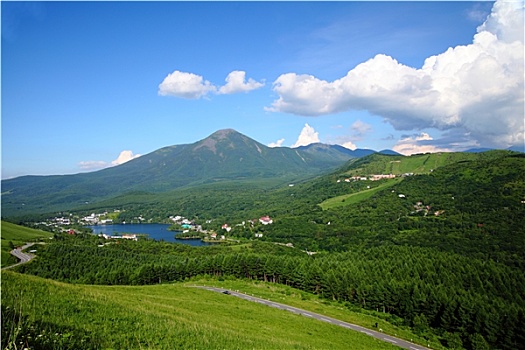 高原,夏天