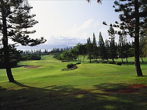 夏威夷,毛伊岛,卡帕鲁亚湾,胜地,高尔夫球杆,湾,场地,洞