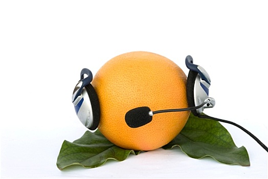 柚子,头戴式耳机,隔绝,白色背景,背景