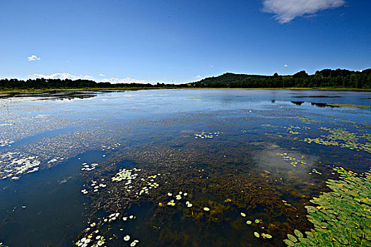 坝上风光