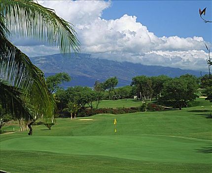 夏威夷,毛伊岛,高尔夫球杆,蓝色,场地,绿色,山峦,背景