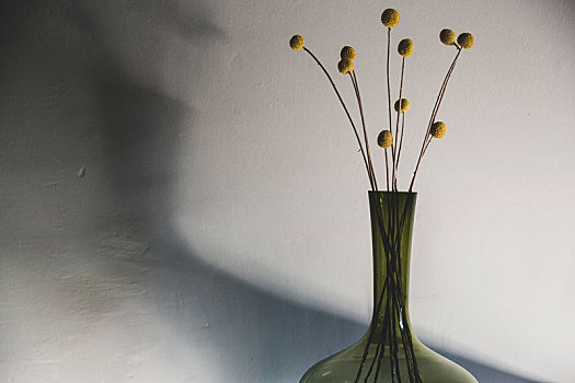 特写,精美,干燥,菠萝,花,绿色,玻璃花瓶