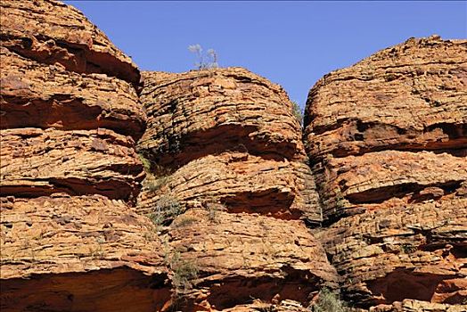 岩石构造,国王峡谷,国家公园,北领地州,澳大利亚