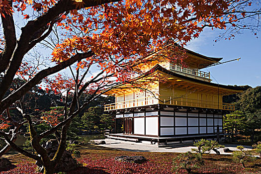 庙宇,金阁寺,京都,日本