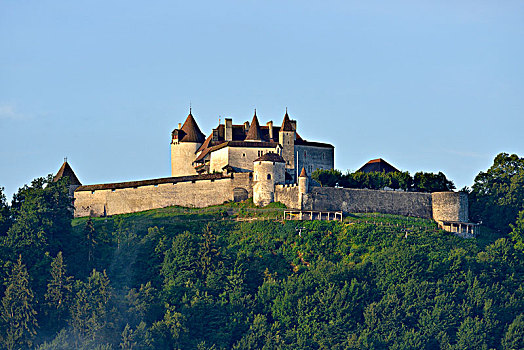 瑞士,弗里堡,中世纪城市,城堡