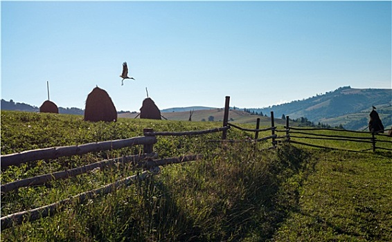 木篱,干草堆,白鹳,乌克兰,喀尔巴阡山脉