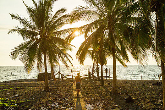 后视图,男人,走,海滩,日落,夏威夷,美国