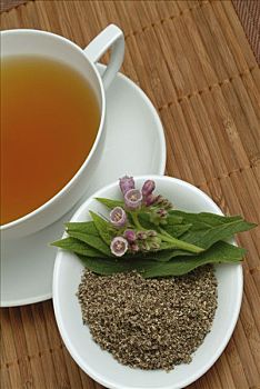 普通,紫草科植物,聚合草,药茶