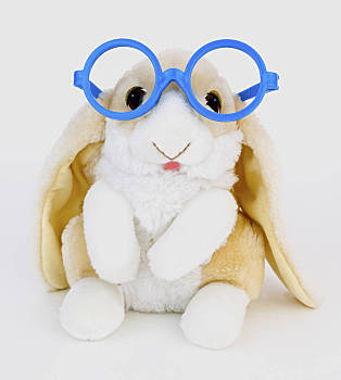 可笑,复活节,小兔,戴着,搞笑,蓝色,塑料制品,玻璃