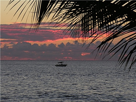 加勒比海,日落