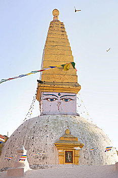 佛塔,博達哈大佛塔,加德滿都,尼泊爾