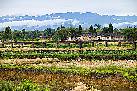 四川邛崃