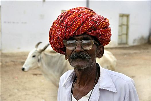 肖像,红色,缠头巾,眼镜,神圣,母牛,背景,普什卡,拉贾斯坦邦,印度
