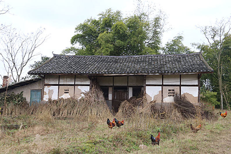 农村老房子_老院子_图片素材