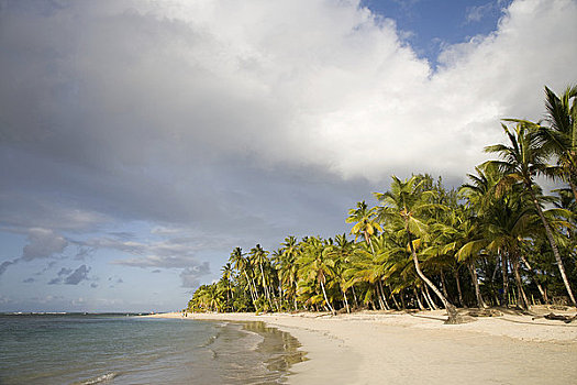 加勒比海,多米尼加共和国