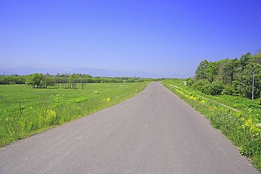 道路,河边