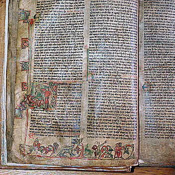 插画,收藏,冰岛,维京,14世纪