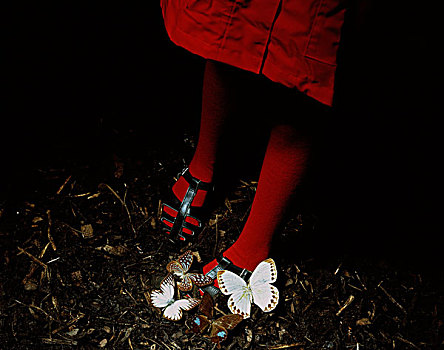 红色,腿,蝴蝶,树林,地面
