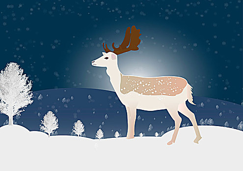 驯鹿,圣诞节,插画