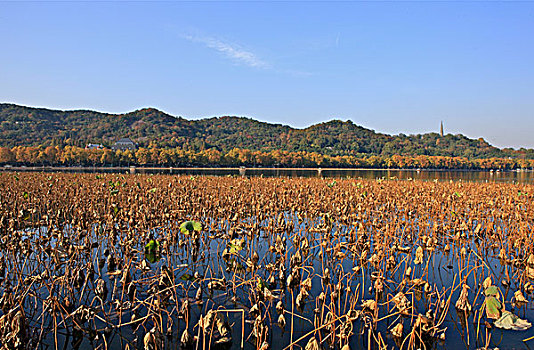 杭州西湖北里湖