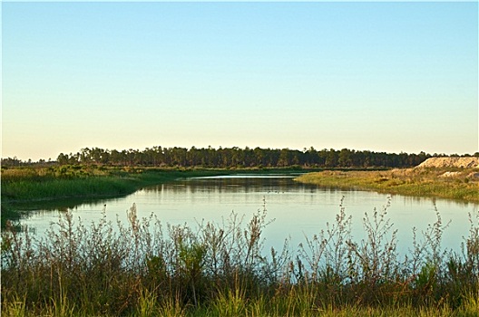 沼泽,水塘,乡村,佛罗里达