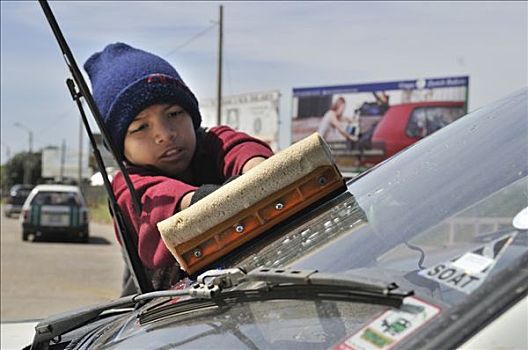 童工,老,清洁,车窗,交叉,玻利维亚,南美