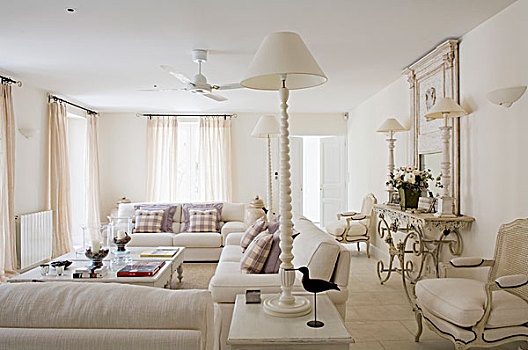 白色,郊区住宅,客厅,现代,沙发,老式